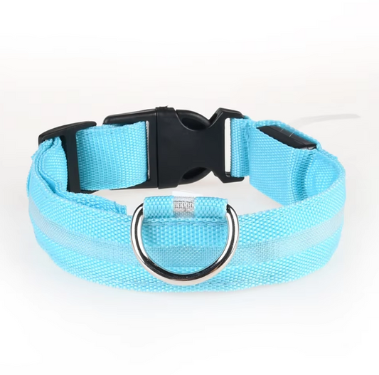 RECHARGEABLE- COLLAR